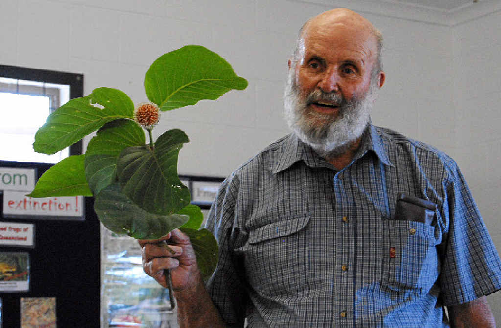 GREEN THUMB: Calliope Garden Club member David Williams shows a bloom from his Leichhardt Tree at the talk on Saturday. GREEN THUMB: Calliope Garden Club member David Williams shows a bloom from his Leichhardt Tree at the talk on Saturday.